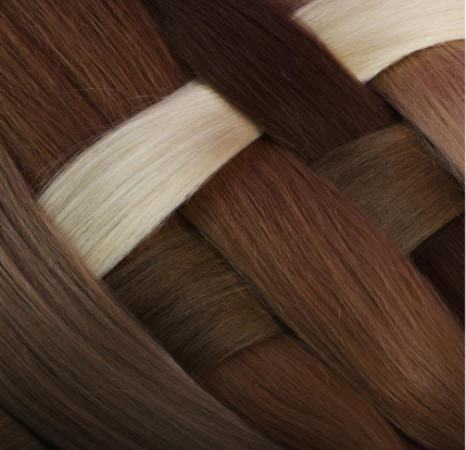 top view of the natural hairs sections for hair ex 2023 11 27 05 13 34 utc 2
